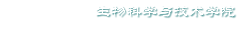滚球赛事直播网站